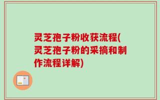灵芝孢子粉收获流程(灵芝孢子粉的采摘和制作流程详解)