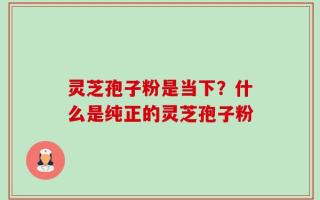 灵芝孢子粉是当下？什么是纯正的灵芝孢子粉