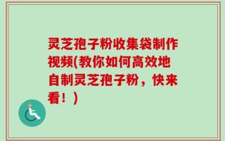 灵芝孢子粉收集袋制作视频(教你如何高效地自制灵芝孢子粉，快来看！)