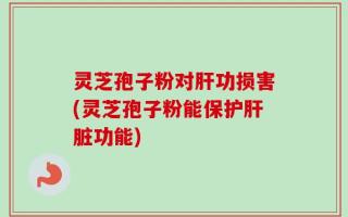 灵芝孢子粉对肝功损害(灵芝孢子粉能保护肝脏功能)