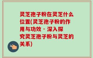 灵芝孢子粉在灵芝什么位置(灵芝孢子粉的作用与功效 - 深入探究灵芝孢子粉与灵芝的关系)