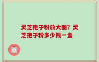 灵芝孢子粉放大图？灵芝孢子粉多少钱一盒