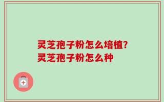 灵芝孢子粉怎么培植？灵芝孢子粉怎么种