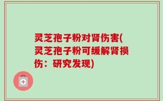 灵芝孢子粉对肾伤害(灵芝孢子粉可缓解肾损伤：研究发现)