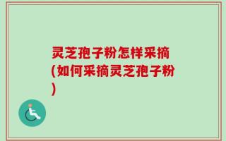 灵芝孢子粉怎样采摘 (如何采摘灵芝孢子粉)