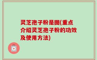 灵芝孢子粉是图(重点介绍灵芝孢子粉的功效及使用方法)