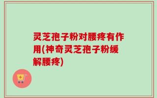 灵芝孢子粉对腰疼有作用(神奇灵芝孢子粉缓解腰疼)