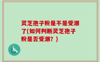 灵芝孢子粉是不是受潮了(如何判断灵芝孢子粉是否受潮？)
