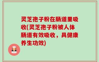 灵芝孢子粉在肠道里吸收(灵芝孢子粉被人体肠道有效吸收，具健康养生功效)