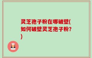 灵芝孢子粉在哪破壁(如何破壁灵芝孢子粉？)