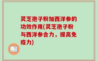 灵芝孢子粉加西洋参的功效作用(灵芝孢子粉与西洋参合力，提高免疫力)