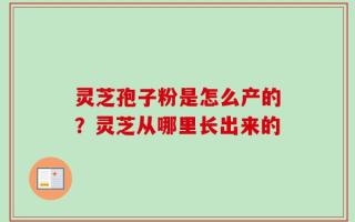 灵芝孢子粉是怎么产的？灵芝从哪里长出来的