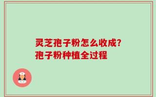 灵芝孢子粉怎么收成？孢子粉种植全过程