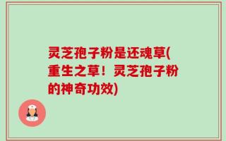 灵芝孢子粉是还魂草(重生之草！灵芝孢子粉的神奇功效)