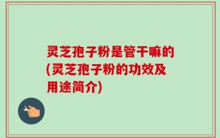灵芝孢子粉是管干嘛的(灵芝孢子粉的功效及用途简介)