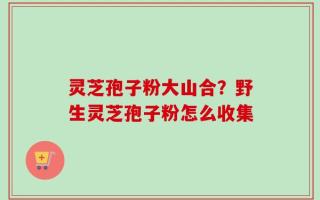 灵芝孢子粉大山合？野生灵芝孢子粉怎么收集