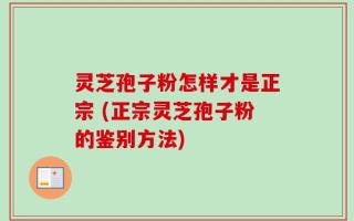 灵芝孢子粉怎样才是正宗 (正宗灵芝孢子粉的鉴别方法)