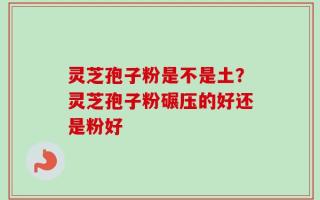 灵芝孢子粉是不是土？灵芝孢子粉碾压的好还是粉好