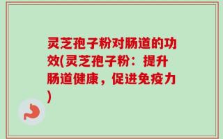 灵芝孢子粉对肠道的功效(灵芝孢子粉：提升肠道健康，促进免疫力)