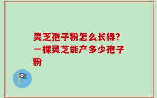 灵芝孢子粉怎么长得？一棵灵芝能产多少孢子粉