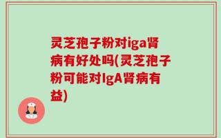 灵芝孢子粉对iga肾病有好处吗(灵芝孢子粉可能对IgA肾病有益)