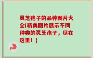 灵芝孢子的品种图片大全(精美图片展示不同种类的灵芝孢子，尽在这里！)