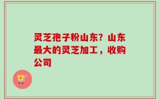 灵芝孢子粉山东？山东最大的灵芝加工，收购公司