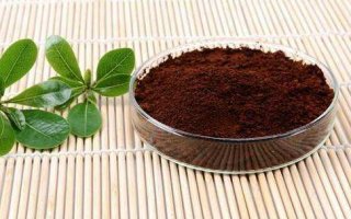 喝灵芝孢子粉有什么作用?什么样的才更有效? 喝灵芝孢子粉有什么作用?什么样的才更有效?