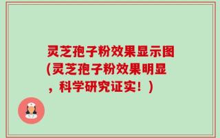 灵芝孢子粉效果显示图(灵芝孢子粉效果明显，科学研究证实！)