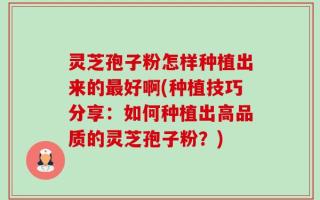 灵芝孢子粉怎样种植出来的最好啊(种植技巧分享：如何种植出高品质的灵芝孢子粉？)