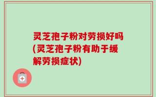 灵芝孢子粉对劳损好吗(灵芝孢子粉有助于缓解劳损症状)