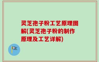 灵芝孢子粉工艺原理图解(灵芝孢子粉的制作原理及工艺详解)