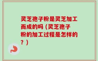 灵芝孢子粉是灵芝加工而成的吗 (灵芝孢子粉的加工过程是怎样的？)