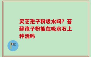 灵芝孢子粉吸水吗？苔藓孢子粉能在吸水石上种活吗