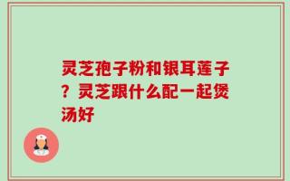 灵芝孢子粉和银耳莲子？灵芝跟什么配一起煲汤好