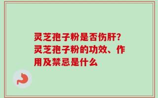 灵芝孢子粉是否伤肝？灵芝孢子粉的功效、作用及禁忌是什么