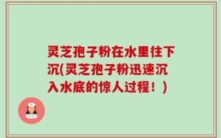 灵芝孢子粉在水里往下沉(灵芝孢子粉迅速沉入水底的惊人过程！)