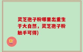 灵芝孢子粉哪里出重生于大自然，灵芝孢子粉触手可得)