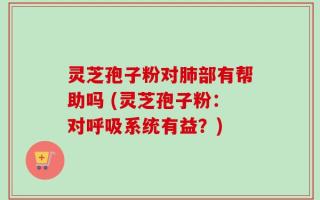 灵芝孢子粉对肺部有帮助吗 (灵芝孢子粉：对呼吸系统有益？)