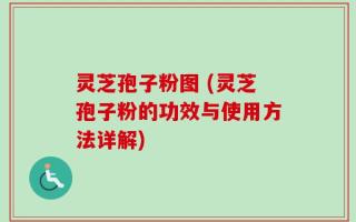 灵芝孢子粉图 (灵芝孢子粉的功效与使用方法详解)