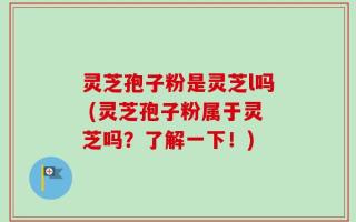 灵芝孢子粉是灵芝l吗 (灵芝孢子粉属于灵芝吗？了解一下！)