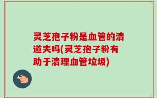 灵芝孢子粉是血管的清道夫吗(灵芝孢子粉有助于清理血管垃圾)