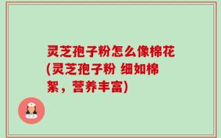 灵芝孢子粉怎么像棉花(灵芝孢子粉 细如棉絮，营养丰富)