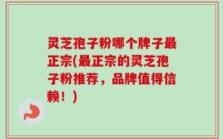 灵芝孢子粉哪个牌子最正宗(最正宗的灵芝孢子粉推荐，品牌值得信赖！)