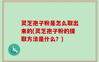 灵芝孢子粉是怎么取出来的(灵芝孢子粉的提取方法是什么？)