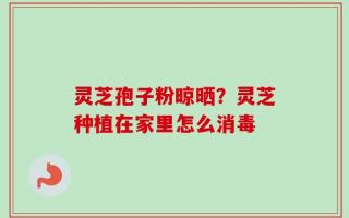 灵芝孢子粉晾晒？灵芝种植在家里怎么消毒