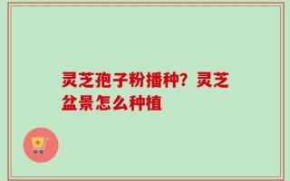 灵芝孢子粉播种？灵芝盆景怎么种植