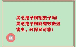 灵芝孢子粉招虫子吗(灵芝孢子粉能有效击退害虫，环保又可靠)