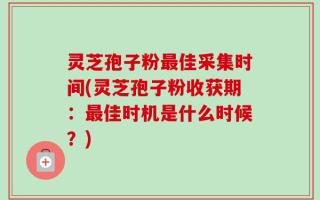 灵芝孢子粉最佳采集时间(灵芝孢子粉收获期：最佳时机是什么时候？)
