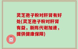 灵芝孢子粉对肝肾有好处(灵芝孢子粉对肝肾有益，新陈代谢加速，提供健康保障)
